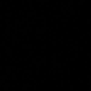 Meet your Posher, Layla